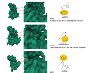 The Magic Bullet in the Synthesis? - Well, Name Goes to the Molecular Building Blocks